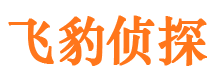 师宗市调查公司